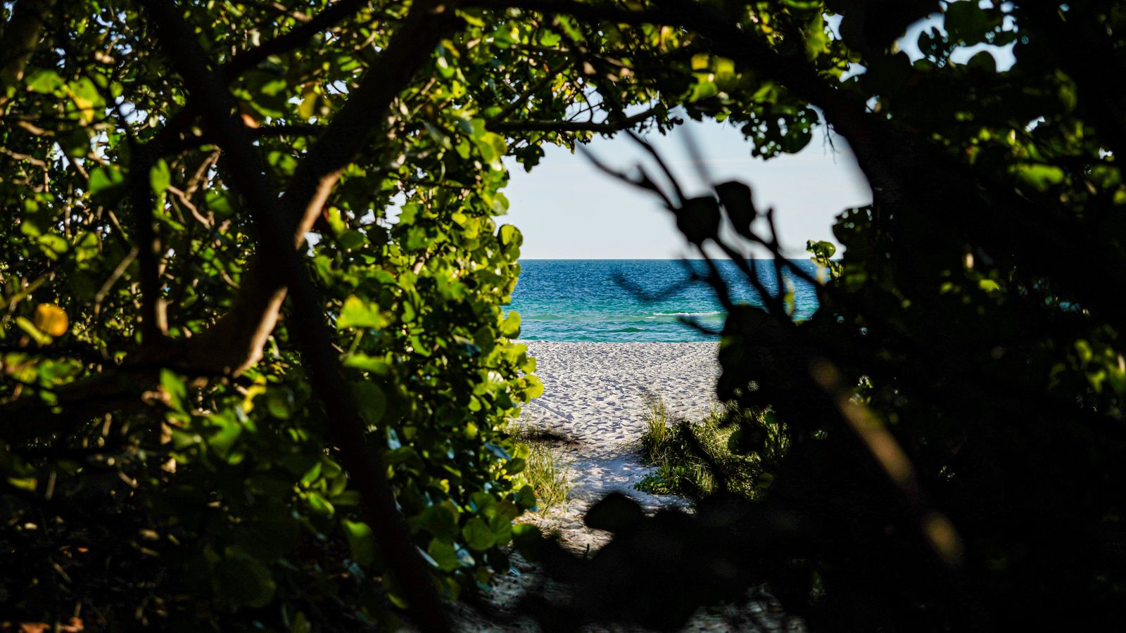 A sandy beach access path to the Gulf on Anna Maria Island