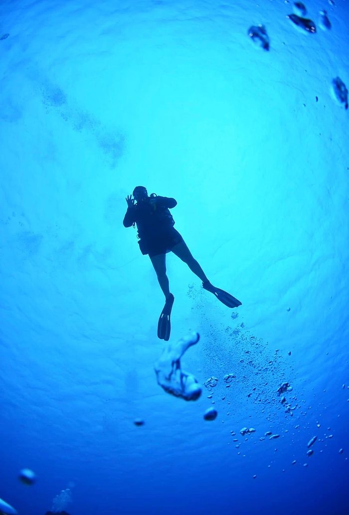 An underwater moment from Christy's own dives